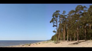 И в горе, и в радости