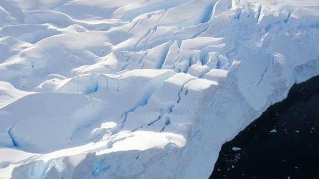 Giants of the Polar Deep смотреть онлайн