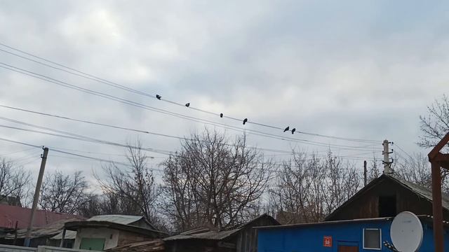 3 марта 2023 г. смотреть онлайн