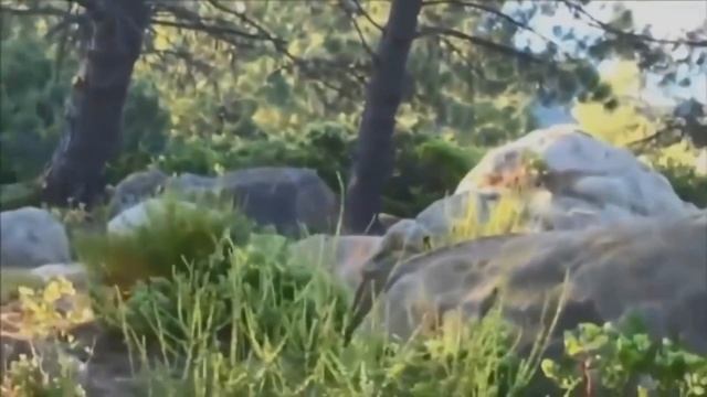 Иное среди нас - Йети / Снежный человек 4 Выпуск смотреть онлайн