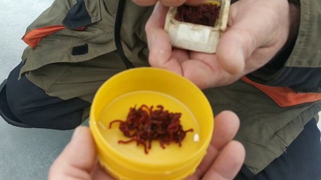 Рыбалка Усть-Паль на 1 апреля! смотреть онлайн