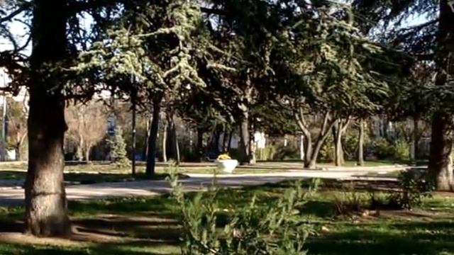 Кипарисы уже сломали смотреть онлайн