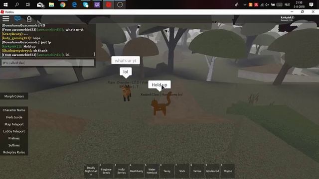 Playing in a Roblox VIP server (Warrior cats) смотреть онлайн