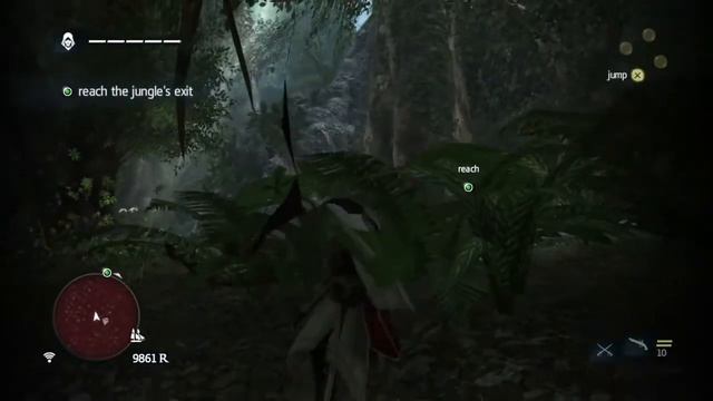 Assassin's Creed: Black Flag | glitch | Jungle adopted Kenway смотреть онлайн