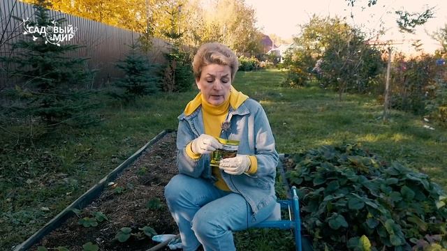 Как бороться с НЕМАТОДОЙ НА КЛУБНИКЕ?. Почему сохнут кусты клубники, земляники? смотреть онлайн