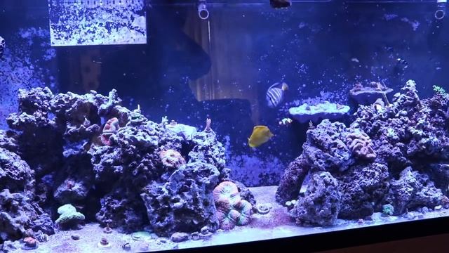 My Aquarium Controller Failed смотреть онлайн