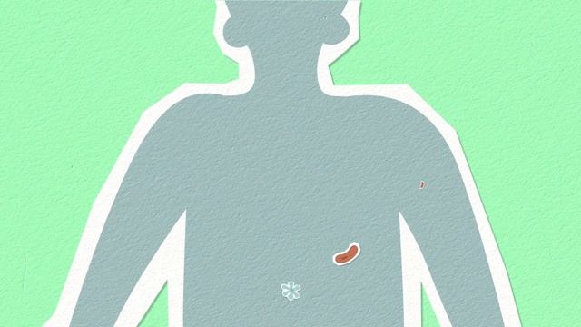 КАК РАБОТАЕТ КАОЛИНОВАЯ ГЛИНА? | KAOLINIA.RU смотреть онлайн