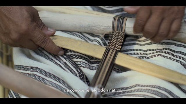 Explore Manu - Parque Nacional del Manu - Perú - Turismo Comunitario смотреть онлайн