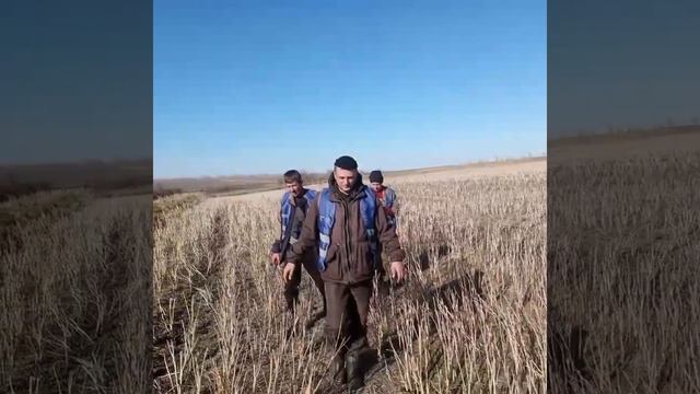 Поисково-спасательные работы Вдовиной Оксаны... Поисково-Спасательный отряд СпасАлтай22 смотреть онлайн