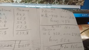 Быки выросли. Живой вес и выход мяса.