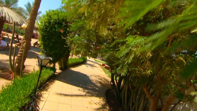 Dessole Seti Sharm Resort - русский