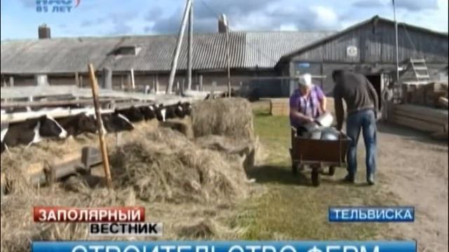 В НАО вырос спрос на местную молочную продукцию смотреть онлайн