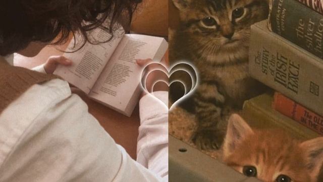 Свободно говорю на французском языке! ~Усиленная формула~|French| Subliminal by Lanelen| смотреть онлайн