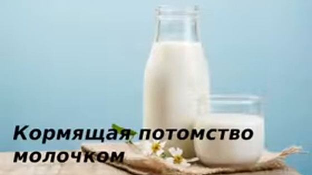 Кто такой УТКОНОС?| Интересные(смешные) факты!