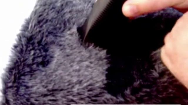 Starter kit for Groomers or vets, clipper like moser 1245 смотреть онлайн