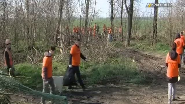 Призыв главы города Евгения Первышова поддержать Челлендж по уборке мусора подхватили краснодарцы смотреть онлайн