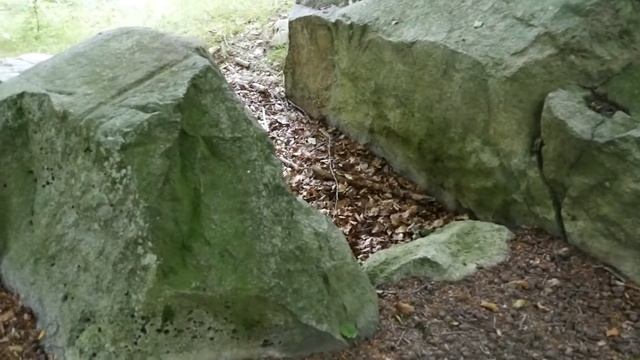 Mørkedysse Slagslunde Skov смотреть онлайн