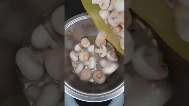 В поисках шампиньонов