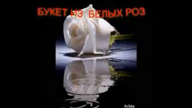 БУКЕТ ИЗ БЕЛЫХ РОЗ смотреть онлайн