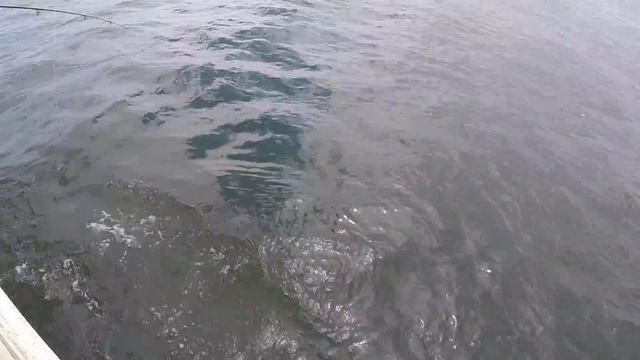 Ranger VI Fishing Boat Sheepshead Bay Brooklyn Ranger 6 смотреть онлайн