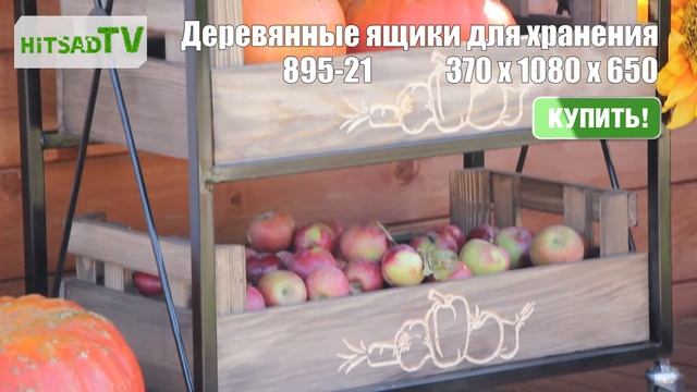 Стеллаж с деревянными ящиками для хранения овощей на даче смотреть онлайн