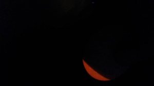 20-й день. Инкубация при двойной закладки яиц. Готовы к вылуплению. И Об Инкубаторах.