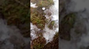 Ремонт вентилятора охлаждения автомобилей Рено,плюс альтернативный вентилятор