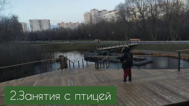 Содержание ястреба| минусы смотреть онлайн
