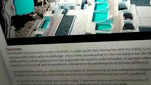 CHUWI 210482 смотреть онлайн