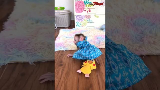 Bella Cleverly Take Care Of Maddox With Every Tip & Trck She Knows смотреть онлайн