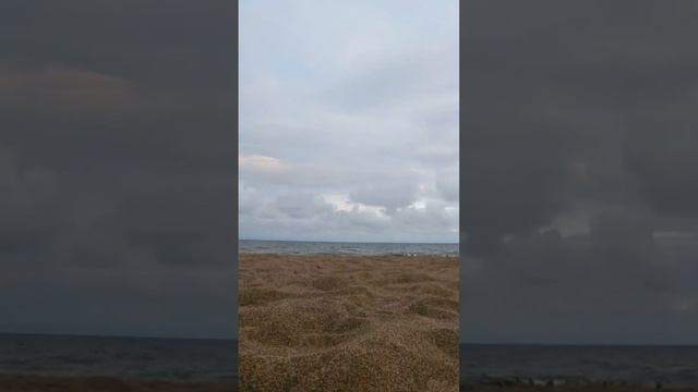 Финский залив г. Сосновый бор смотреть онлайн