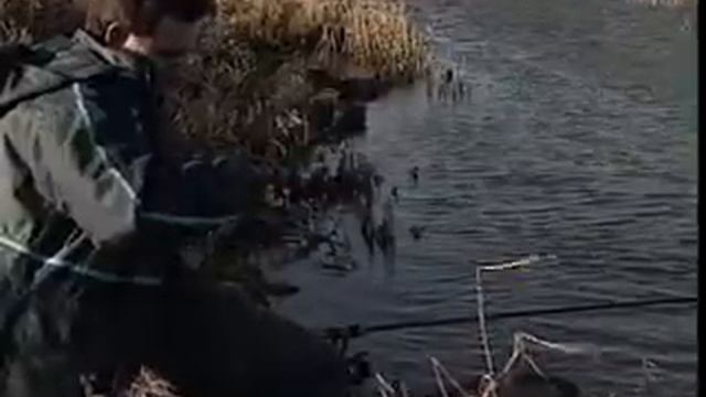 Big River Fish with Matt Hayes смотреть онлайн