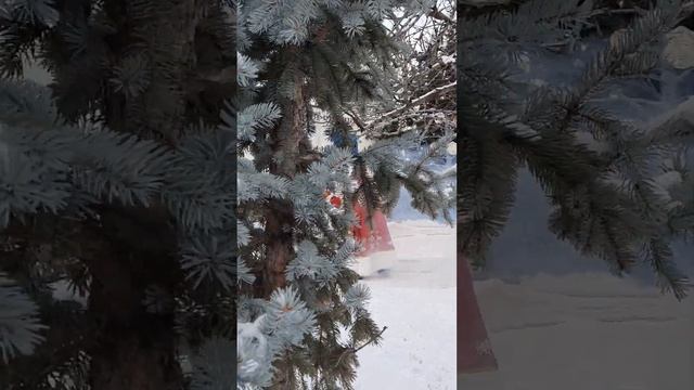 Новый год в Сахарном Замке Волгоград смотреть онлайн