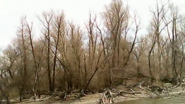 Место лова 16 апреля 2011 г. смотреть онлайн