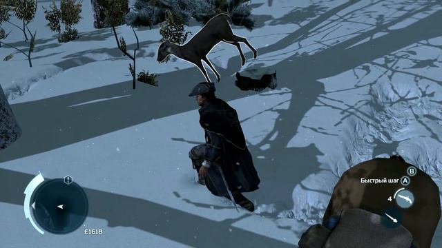 Assassin's Creed 3