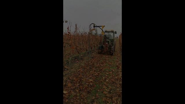 Vorschneider/ Entranker Kombination - AWS Stockmayer Maschinenbau e.K. смотреть онлайн