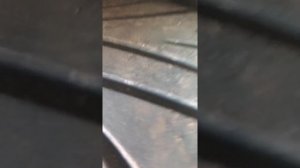 Люфт стойки амортизатора. Как понять люфтит и стучит стойка . Ford Focus 2