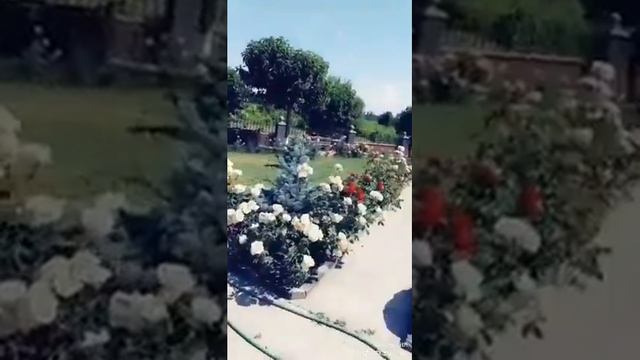 Surb Karmravor Ekexeci