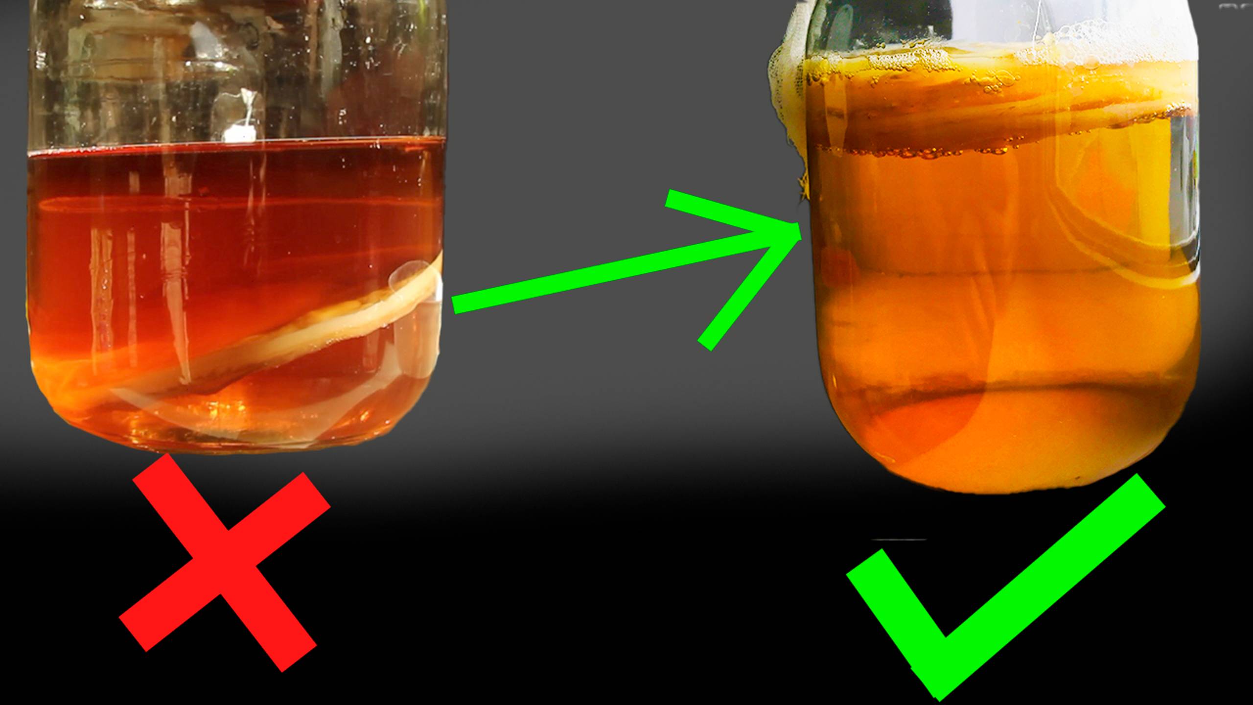 Чайный гриб тонет, утонул, встал боком смотреть онлайн