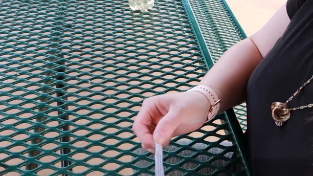 SQUID GAME In Real Life (SCAREANOIA APP) Intention Squid Games DON'T BREAK THE COOKIE!! смотреть онлайн