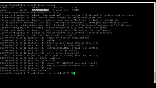 Linux Service Config - Docker | Tamil | HarshaSelvi смотреть онлайн
