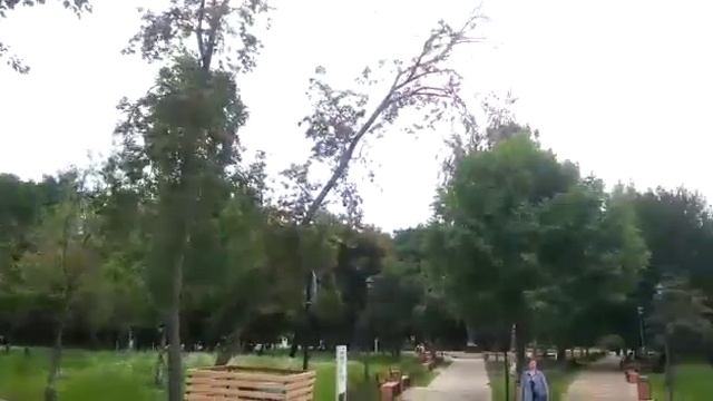 Новое метро Селигерская смотреть онлайн