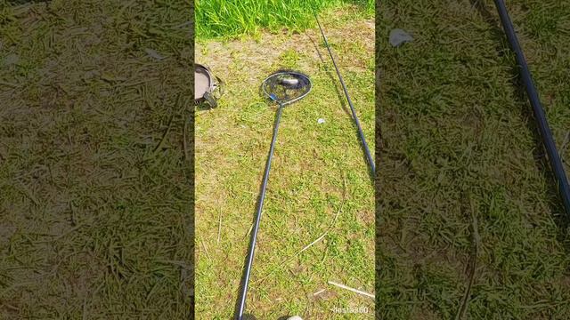 карась на поплавочную удочку 🌞🐟👍 смотреть онлайн