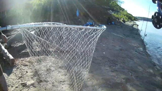 РЫБАЛКА НА РЕКЕ ОБЬ В БОЛЬШОЙ ПОДЪЕМ ВОДЫ . ЛОВЛЯ ЛЕЩА смотреть онлайн