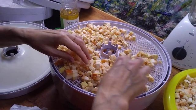 Трутовик серно-желтый: моем, сушим, варим, морозим. 10.06.20 смотреть онлайн