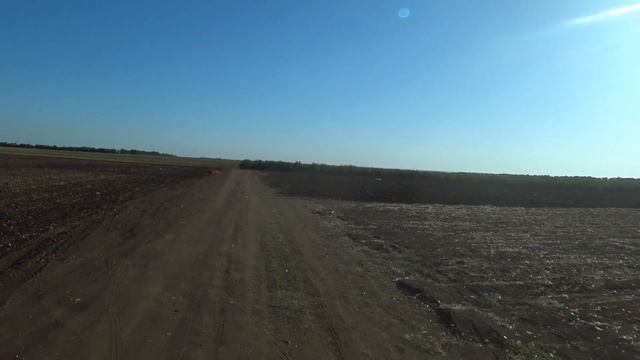 ПОЕХАЛ КАЙФАНУЛ. ДАЛЬНОБОЙ по РФ.Когда ПРОФЕССИЯ в КАЙФФФ))  Крым-Питер. ЛУК С ПОЛЯ