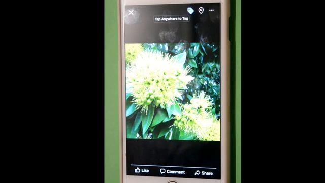 How to add caption to profile picture in Facebook iOS or iPhone app смотреть онлайн