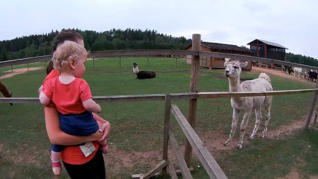 На велосипеде с двойней. Велопоход с двумя детьми. 12 День. Национальный парк Гауя. Rakši Zoo смотреть онлайн