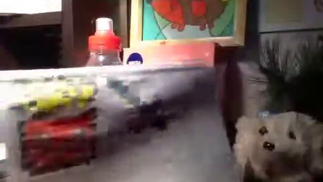 мои рисунки по клеточкам и простые в возрасте 5-11 лет смотреть онлайн