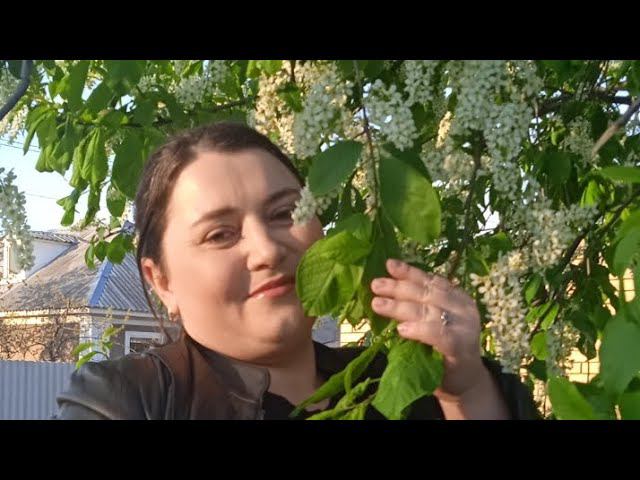 Весенний Влог / Читаю монолог "Дневник женщины на диете" смотреть онлайн